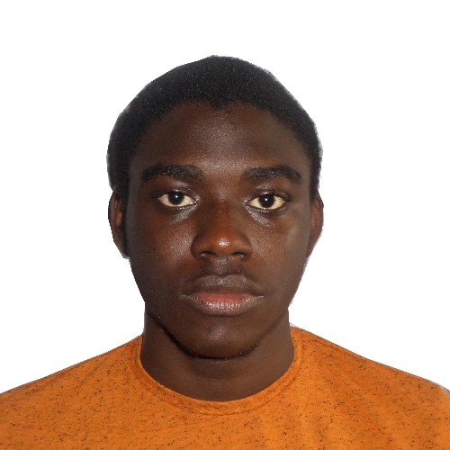 Raphael Alegbeleye 